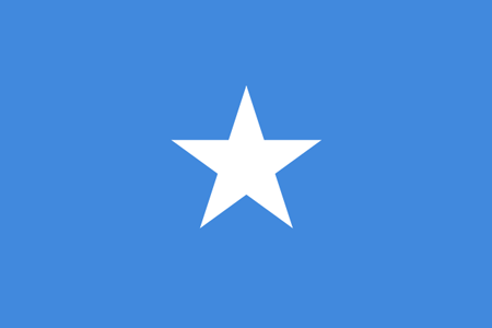 SOM